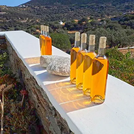 Cycladic Vineyard House Vakantiehuis