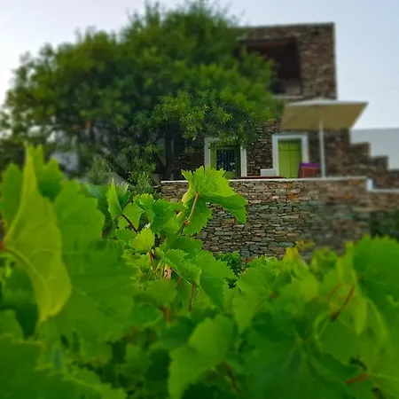 Cycladic Vineyard House * Apollonia