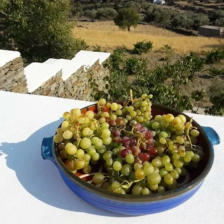 Cycladic Vineyard House * Apollonia
