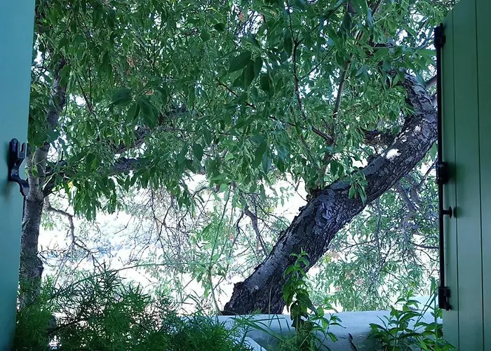 Cycladic Vineyard House Prázdninový dům Apollonia